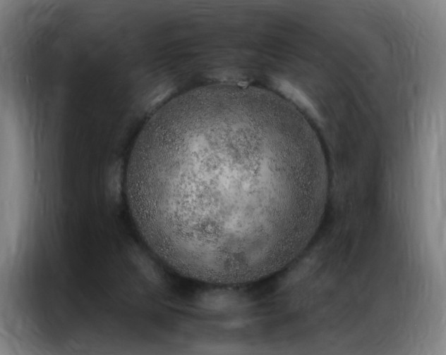 X0000087330065200704201135