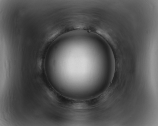 X0000087330066200704201135