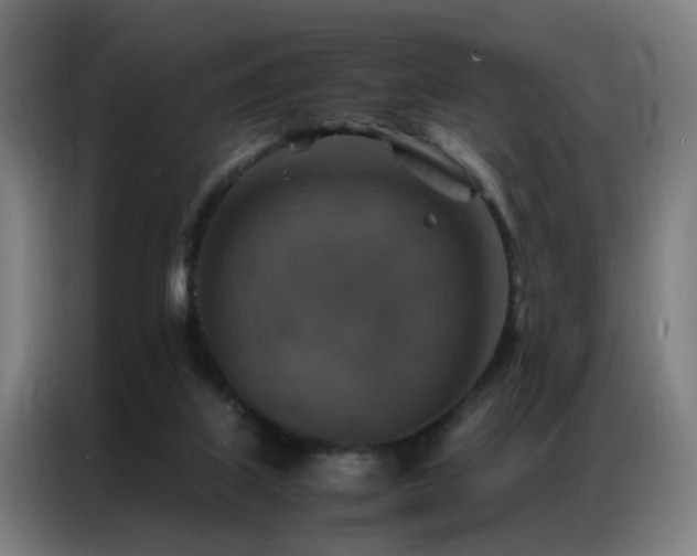 X0000087330067200704201135