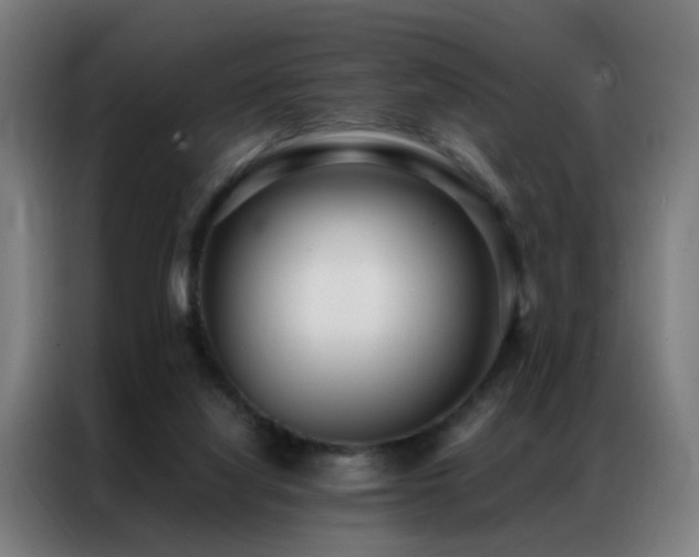 X0000087330068200704201135