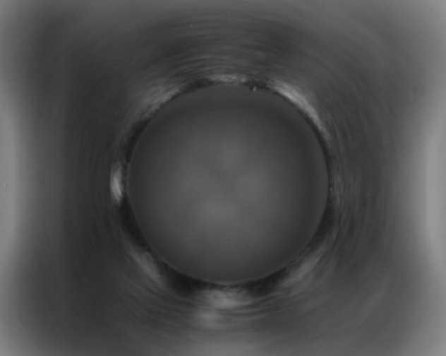 X0000087330069200704201135