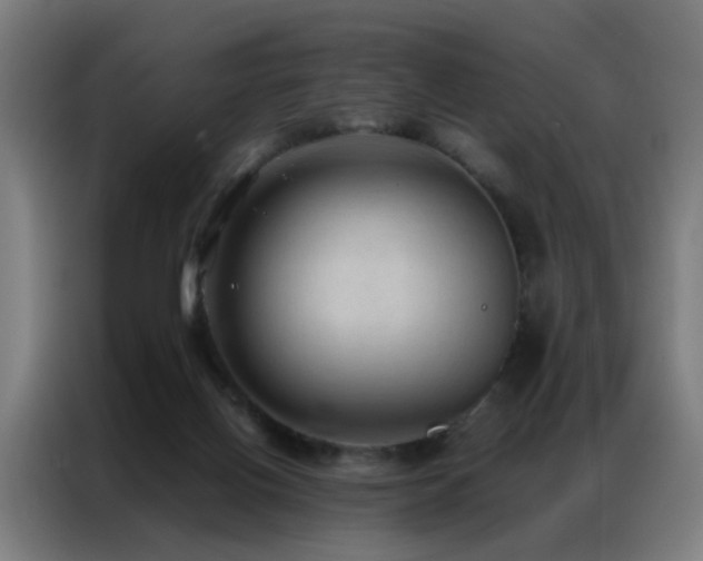 X0000087330070200704201135