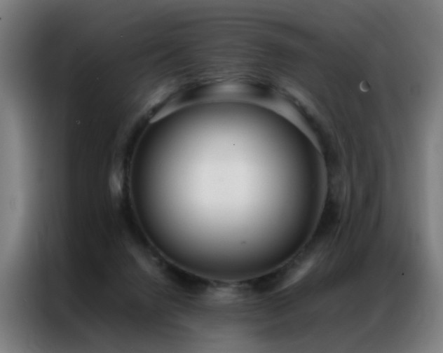 X0000087330072200704201135
