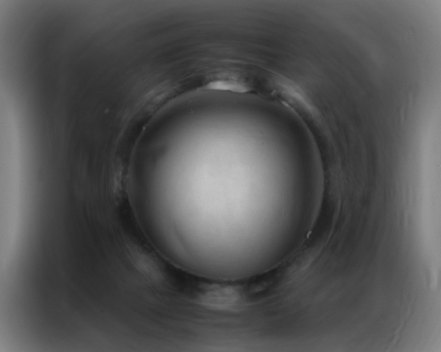 X0000087330073200704201135