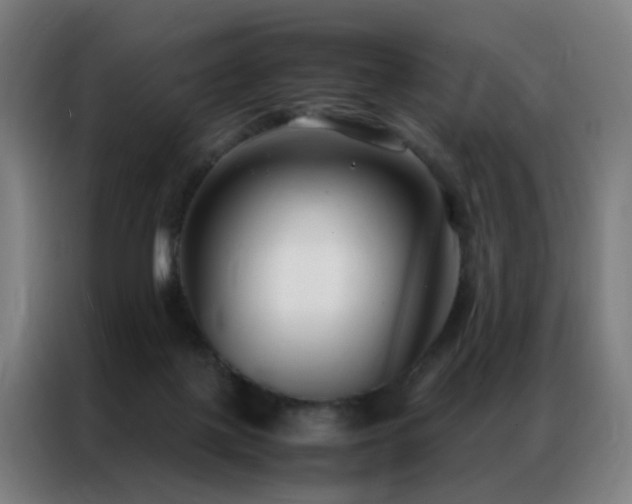 X0000087330075200704201135