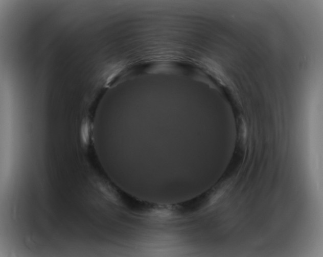 X0000087330076200704201135