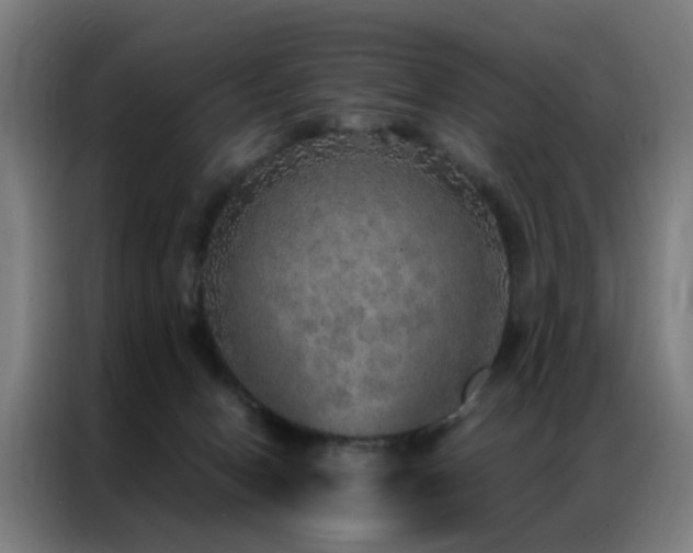 X0000087330078200704201135