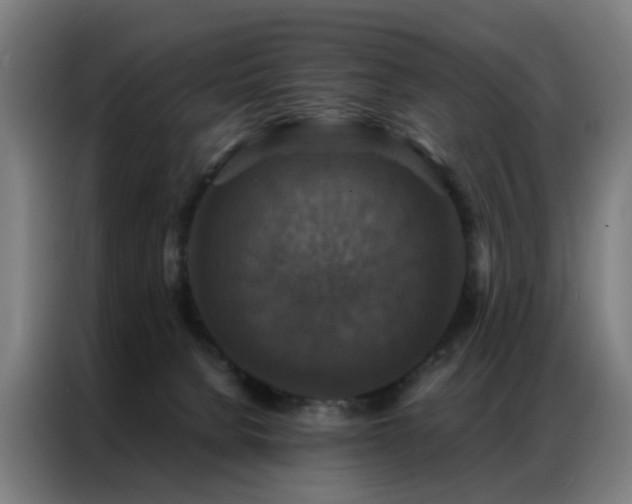 X0000087330080200704201135