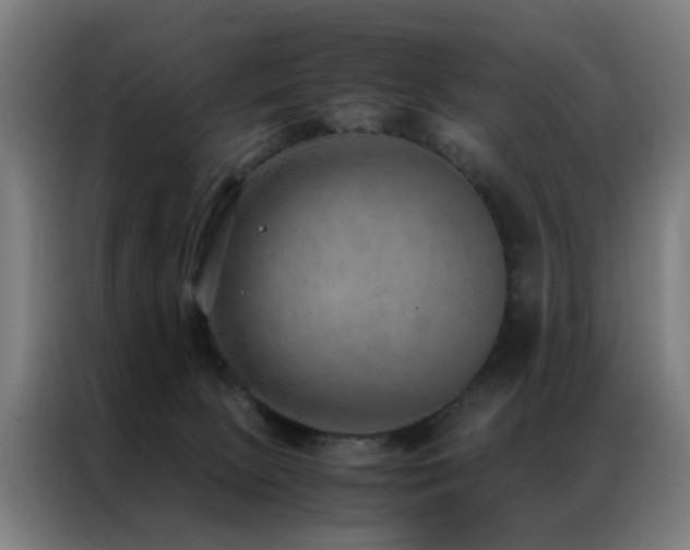 X0000087330081200704201135