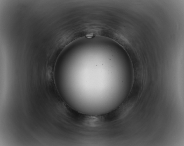 X0000087330083200704201135