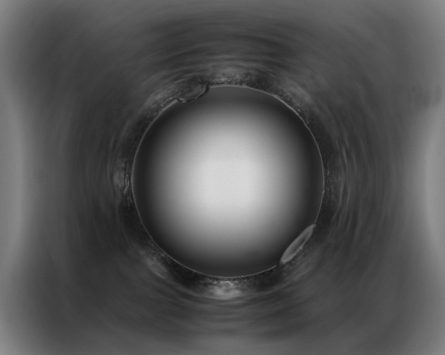 X0000087330091200704201135