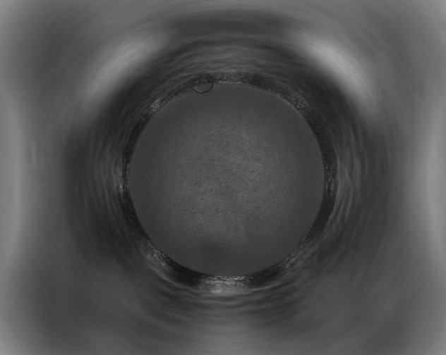 X0000087330093200704201135