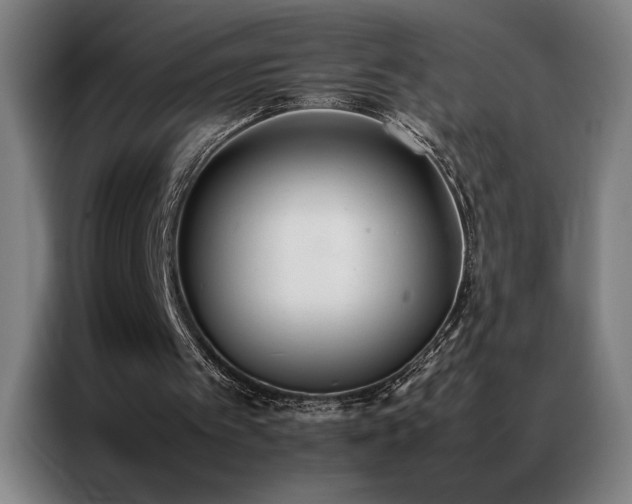 X0000087330097200704201135