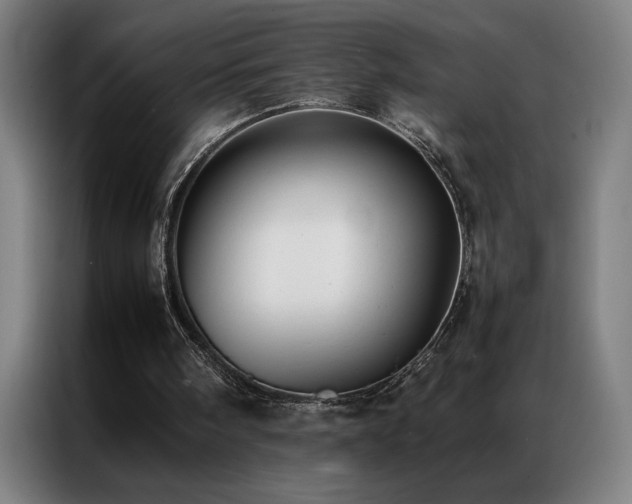 X0000087330098200704201135