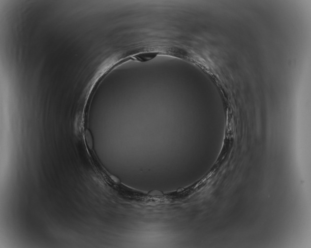 X0000087330099200704201135