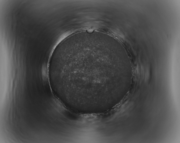 X0000087330100200704201135