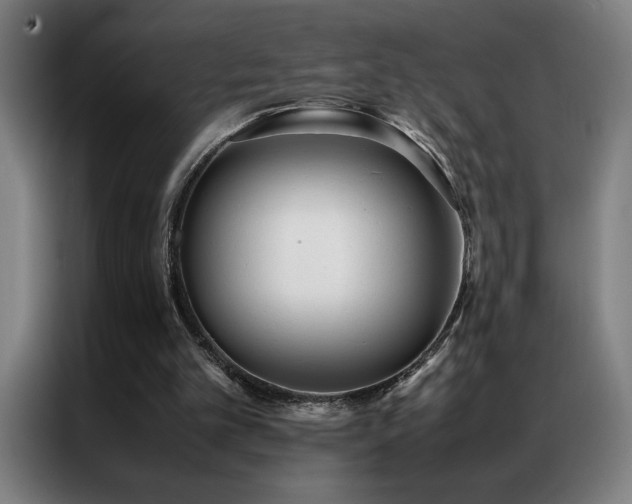 X0000087330101200704201135