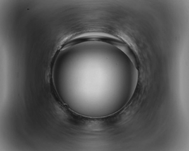 X0000087330107200704201135