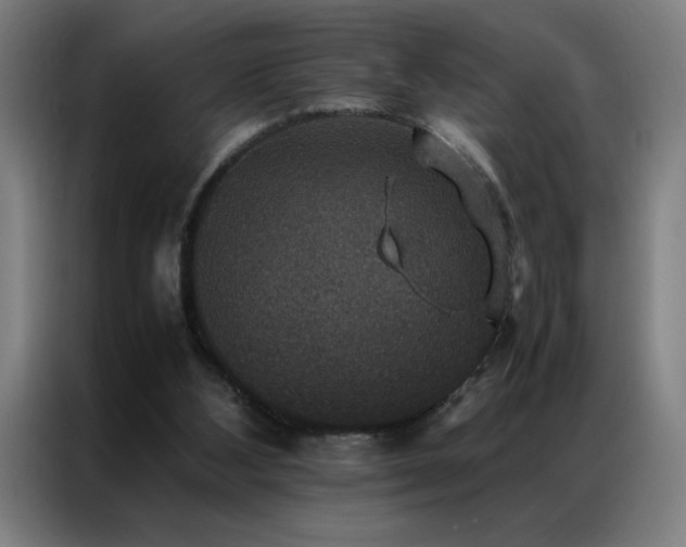 X0000087330108200704201135