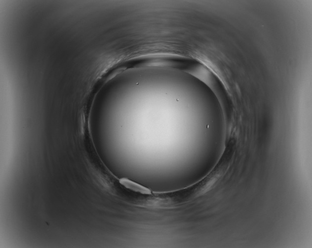 X0000087330109200704201135