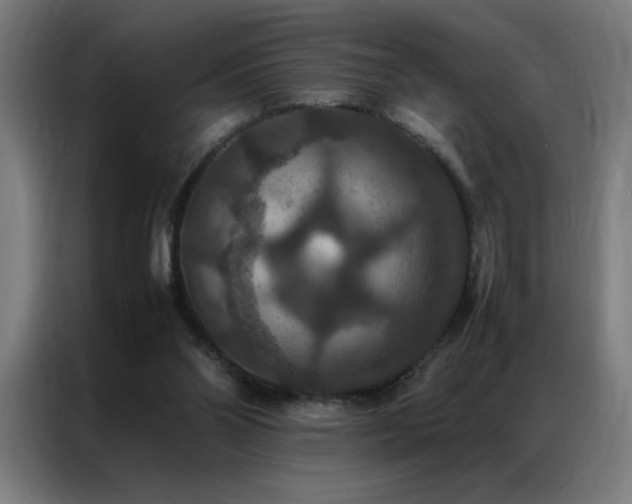 X0000087330110200704201135