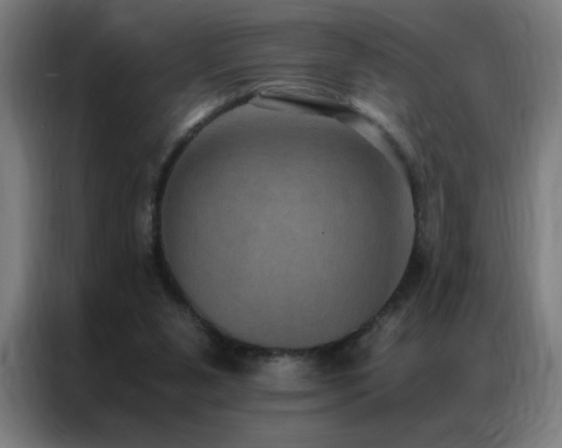 X0000087330111200704201135