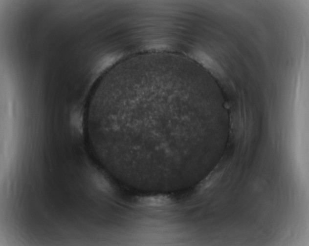 X0000087330112200704201135