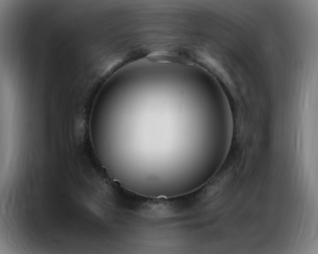 X0000087330113200704201135