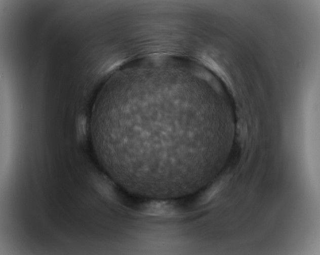 X0000087330117200704201135
