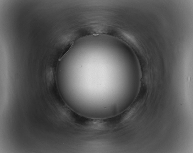 X0000087330121200704201135