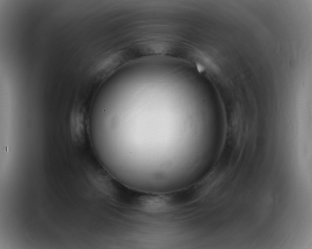 X0000087330122200704201134