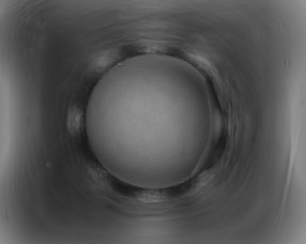 X0000087330123200704201134