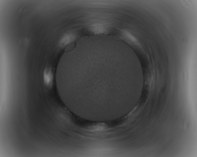 X0000087330124200704201134