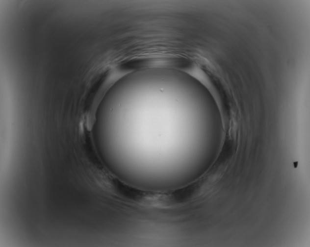 X0000087330125200704201134