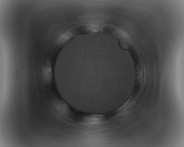 X0000087330128200704201134