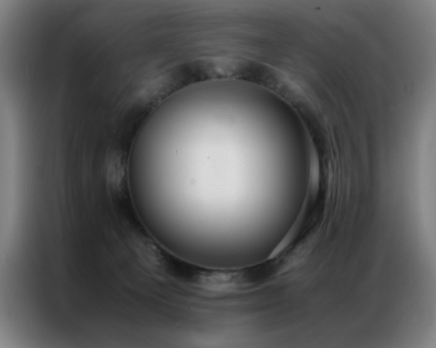 X0000087330129200704201134