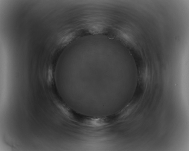X0000087330130200704201134