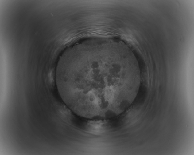 X0000087330131200704201134