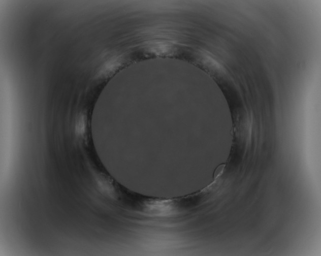 X0000087330132200704201134
