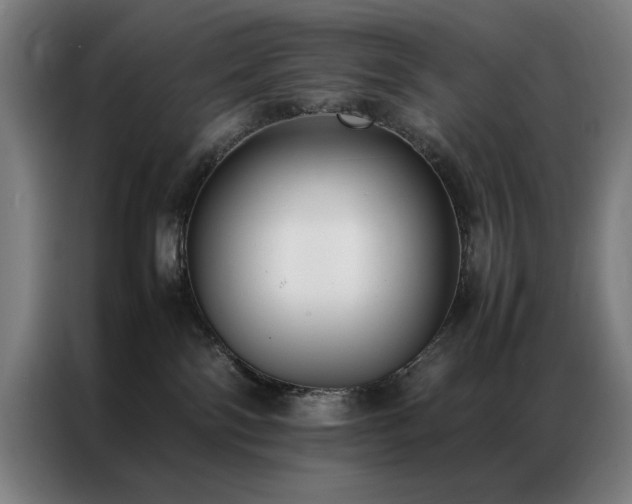 X0000087330138200704201134