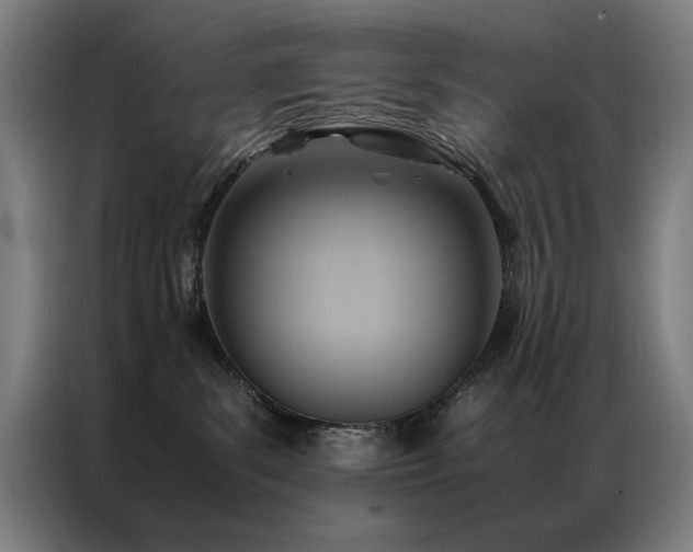 X0000087330139200704201134