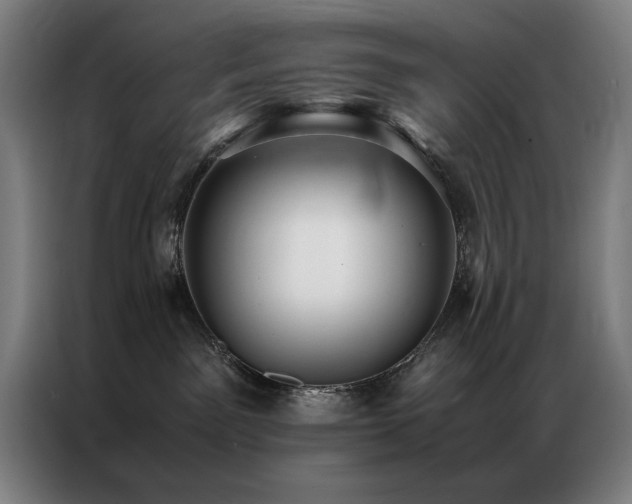 X0000087330141200704201134