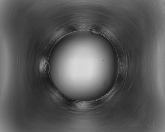 X0000087330142200704201134