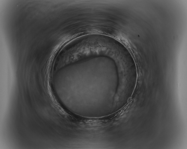 X0000087330145200704201134