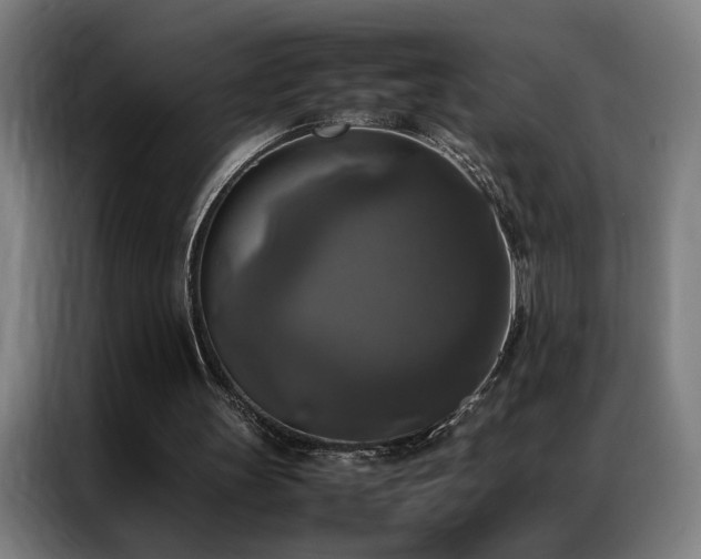 X0000087330147200704201134