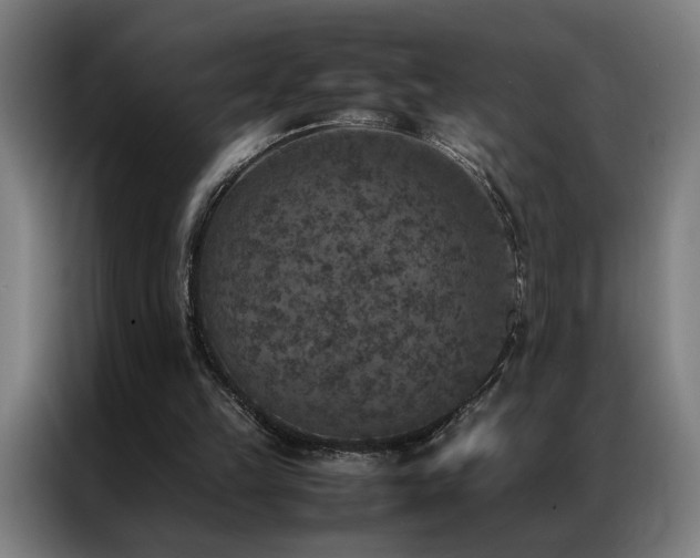X0000087330149200704201134