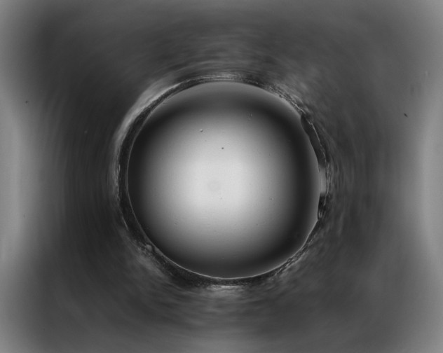 X0000087330150200704201134