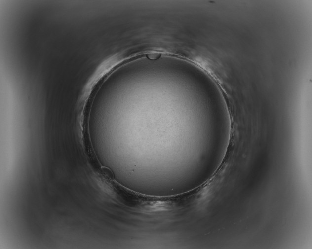 X0000087330151200704201134