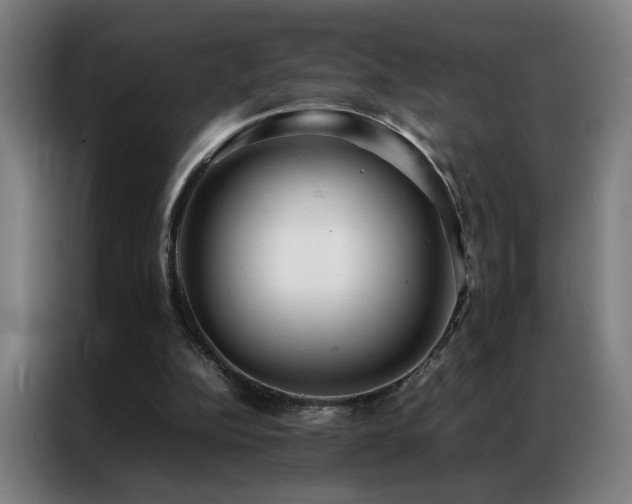 X0000087330152200704201134