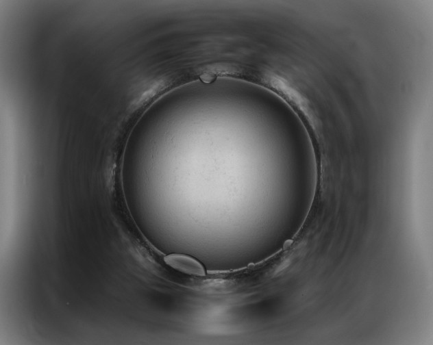 X0000087330153200704201134